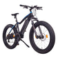 NCM Aspen Plus Fat Electric Bike,E-Bike
